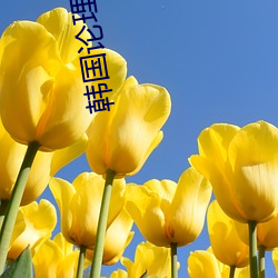 韩(hán)国(guó)论理(lǐ)