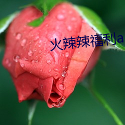 AG真人平台(中国)官方网站
