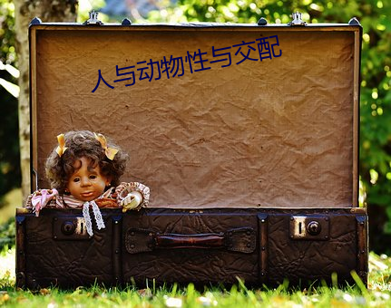 人与动物性与交配