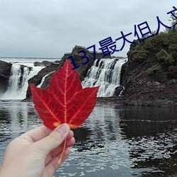 137最大但人文艺术