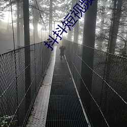抖抖短視頻app