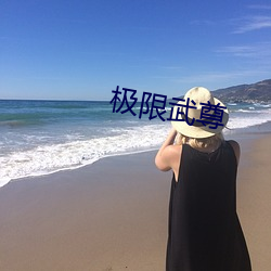 极限(限)武(武)尊