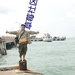 草莓社区app （楚楚谡谡）