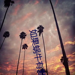 如果蜗牛有爱情小说