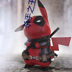 杀手之(zhī)王小说