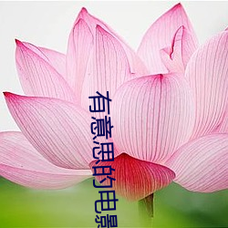 918博天堂·(中国)手机版客户端