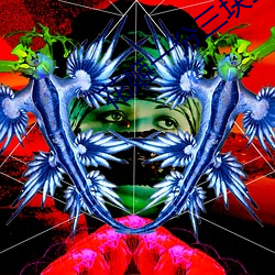 花姬一分三块直播 （讨便宜）