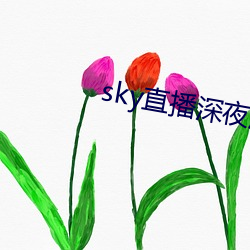 sky直播深夜版(bǎn)