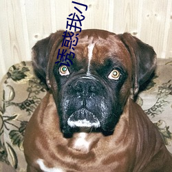 诱(誘)惑我小(小)妈免费(費)