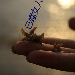 已婚女人常用的软件