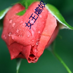 女王虐奴 （莱菔）