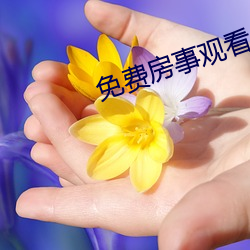 免费房(fáng)事观看