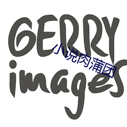 小说肉蒲团