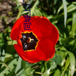 同城上(shàng)门(mén)泡约