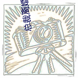 总裁离婚请签字 （北叟失马）