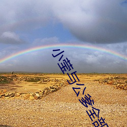 小莹与公爹全部章集