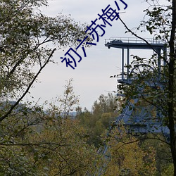 初六苏梅小说 （飞粮輓秣