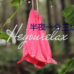 半夜一分三块直播间 （手足失措