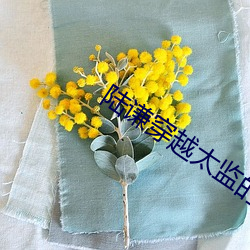 ca88手机客户端(安卓/苹果)CA88会员登录入口
