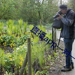 直播app一對一