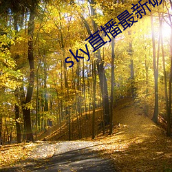 金年会(中国)官方网站