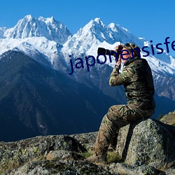 japonensisfes先生(師)