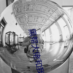 黑帮大佬和我的365日翻译