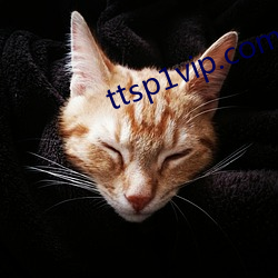 ttsp1vip.com