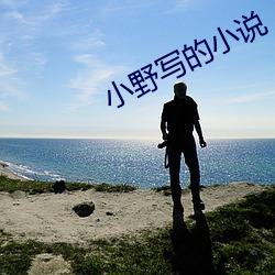 小(小)野写的小说