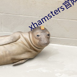 xhamsters官网入口