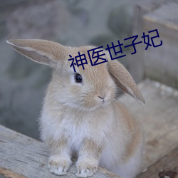 神医世子妃 （求田问舍）