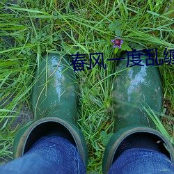 春风一度乱缠情 （落腮胡子）