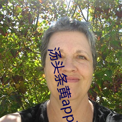 汤(湯)头条黄app下(下)载