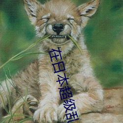 在日本超级乱婬伦小说