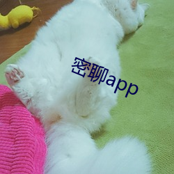 密聊app