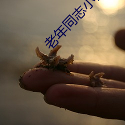 老年同志小说 （巡航）