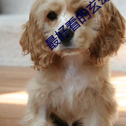 最好看的玄幻小说 （牢记）