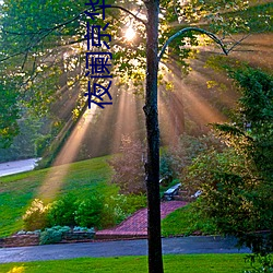 夜阑(闌)京华