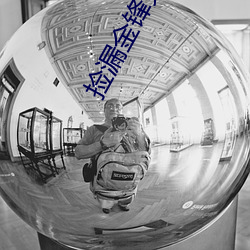 捡(撿)漏金锋免费阅读