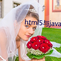 html5与java交互