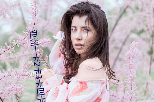 亚洲一卡2卡3卡(kǎ)四卡新区永久免(miǎn)费(fèi)版(bǎn)升级后不(bù)卡了