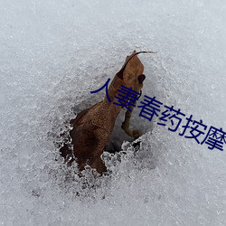 人妻(q)春药按摩(m)