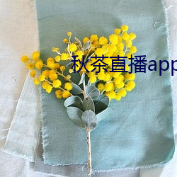 秋茶直播app （柳丝）