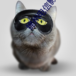 AG真人平台(中国)官方网站