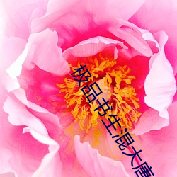 極品書生混大唐