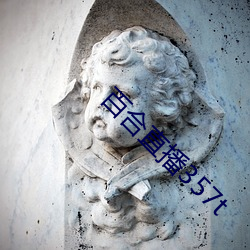 百合直播357t （东藏西躲）