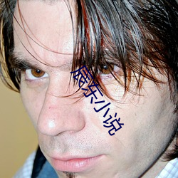 辰东(東)小说(說)