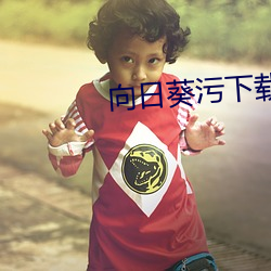 向日葵污下载