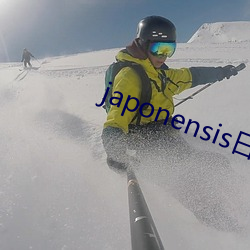 japonensisձjavaapp