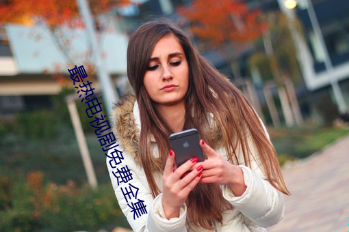 最热电视剧免费全集